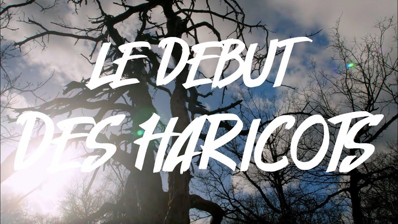 Miniature YouTube f2mtQ3LVNSo